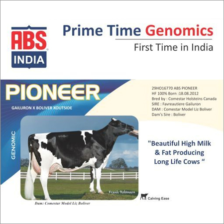 HF Bull Semen from ABS