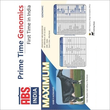 HF Bull Semen from ABS