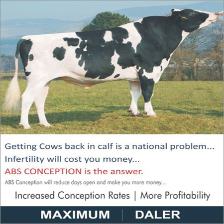 HF Bull Semen from ABS