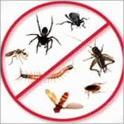 Commercial Pest Control Service