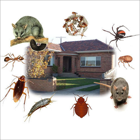 Household Pest Control