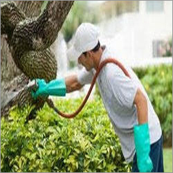 Herbal Pest Control Service