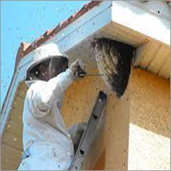 Bee Pest Control Services