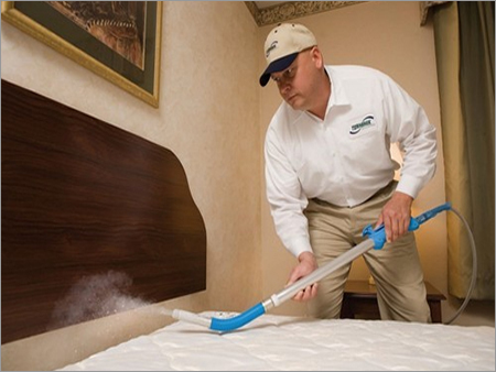 Bed Bugs Pest Control