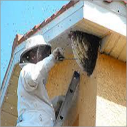 Bee Treatment Services