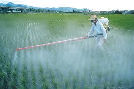 Agricultural Pesticides