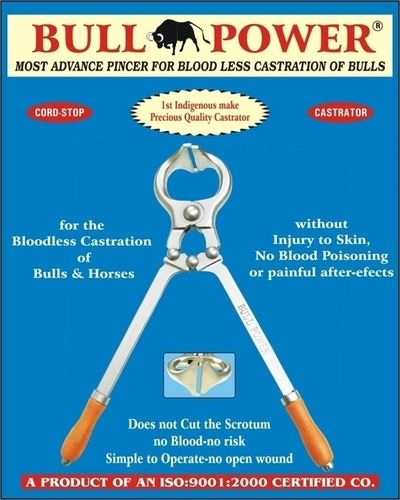 Bone & Orthopedic Instruments