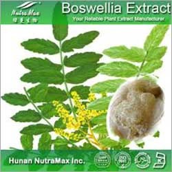 Pure Boswellia Extract