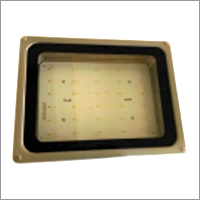 LED Flood Lights