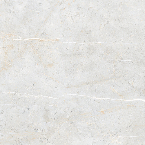 Ivory Porcelain Tiles