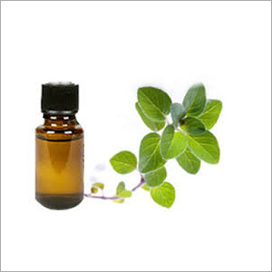 Oregano Essential Oil