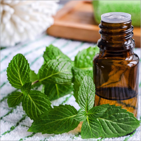 Mint Oils