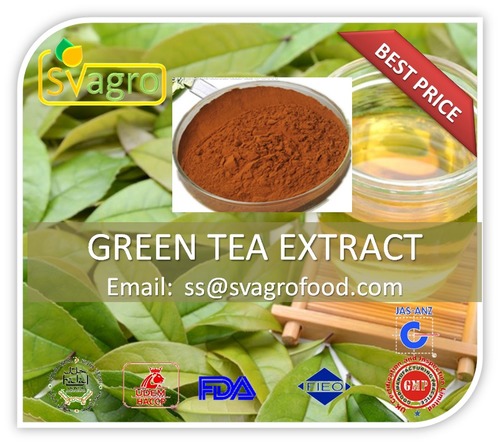 100% Pure Natural Green Tea Extract
