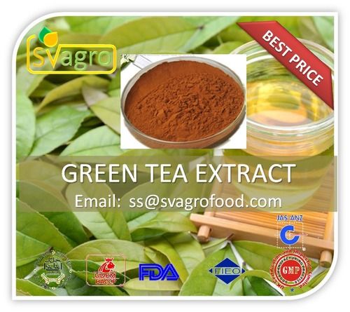 Natural Tea Polyphenols Green Tea Extract Purity(%): 99%