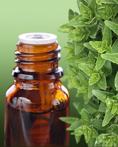 Oregano Oil (carvacrol > 80%)