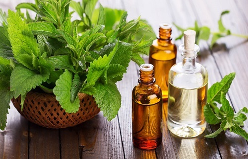 Spearmint Oil (L Carvone > 80%)