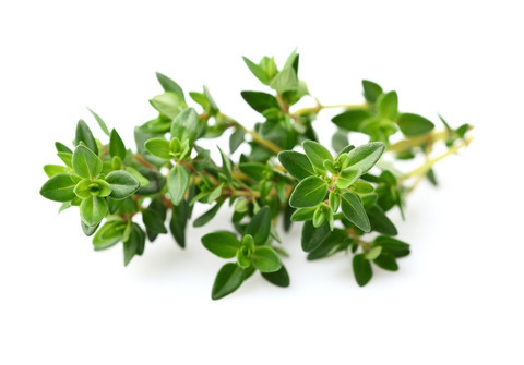 Thyme Oil (Thymol >30%)