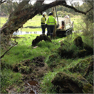 Liquid Potassium Humate