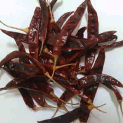 Wonder Hot Chilli