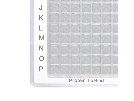 Protein Lobind Plates