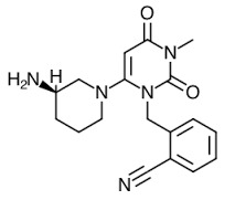 GLUCAGON