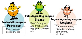 Enzymes