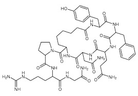 VASOPRESSIN