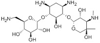 GENTAMICIN
