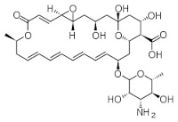 NORFLOXACIN