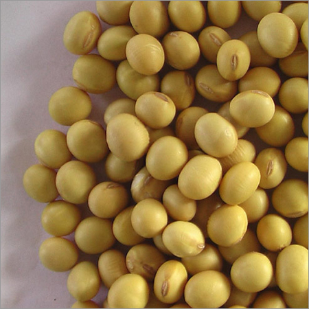 Fresh Soyabean Seed