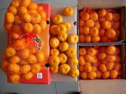 Fresh Mandarin Orange