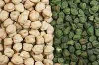 Kabuli Chick Peas - 12mm 42/44 Count, Consistent Size, Easy Cooking, Food Safety, High Quality, Nutritional Value, Versatile Use