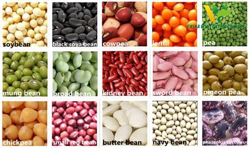 Red Lentils