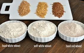 Whole Wheat Grain