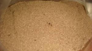 Coconut Copra For Animal Feed