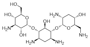 TOBRAMYCIN