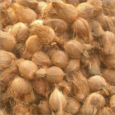 Semi Husked Coconuts