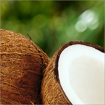 Fresh Coconuts