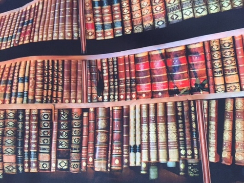 Windows Digital Printed Curtain Fabrics