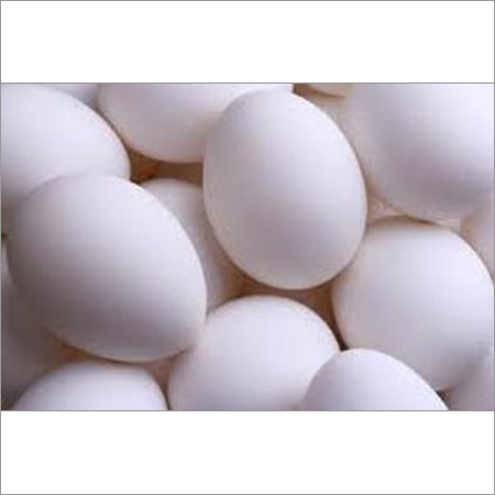 Chicken Egg