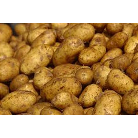 Fresh Potato