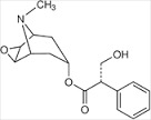 Genitourinary System Drugs