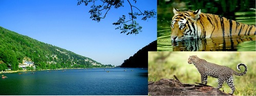Nainital Tour Packages
