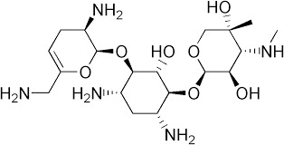 SISOMICIN - White Powder, C19H37N5O9, 491.5 g/mol | Broad Spectrum Antibacterial Injectable Drug