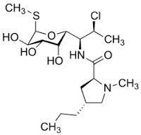 CLINDAMYCIN