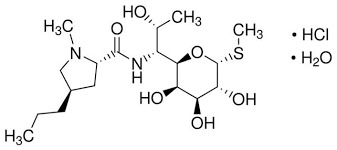 Lincomycin