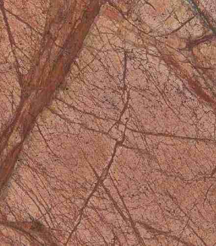 RAINFOREST BROWN MARBLE