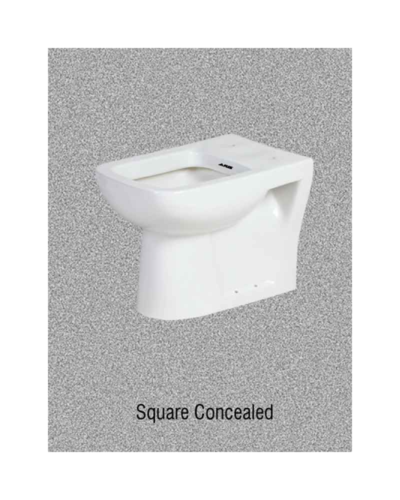 White Square Concealed Toilet