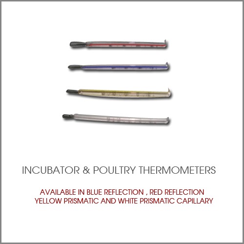 Incubator and Poultry Thermometer