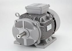 AC Squirrel Cage Motor - 3 Phase